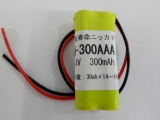 2N-300AAA
