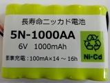 5N1000